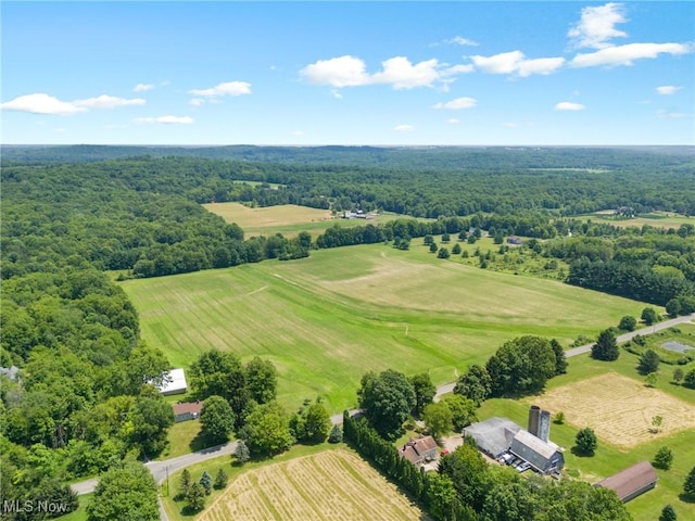 12456 Sheldon Rd, Mantua, OH 44255 - view of rural area with a forest