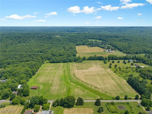 12456 Sheldon Rd, Mantua, OH 44255 - aerial view of sparsely populated area featuring a forest