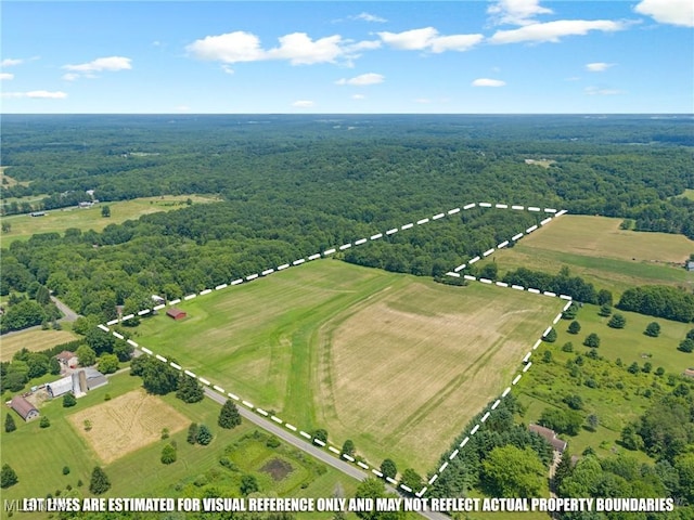 12456 Sheldon Rd, Mantua, OH 44255 - aerial view of sparsely populated area featuring a forest