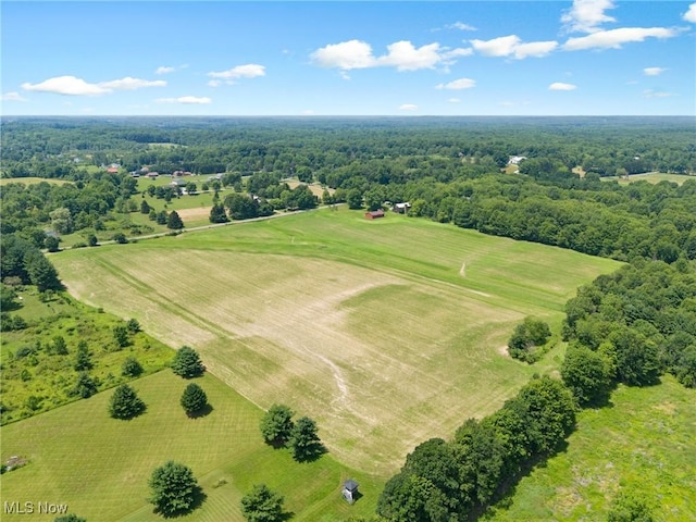 12456 Sheldon Rd, Mantua, OH 44255 - aerial view of a heavily wooded area