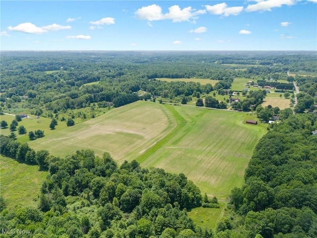 12456 Sheldon Rd, Mantua, OH 44255 - drone / aerial view of a heavily wooded area