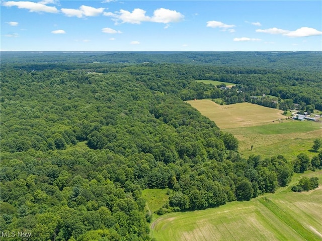 12456 Sheldon Rd, Mantua, OH 44255 - bird's eye view of a forest