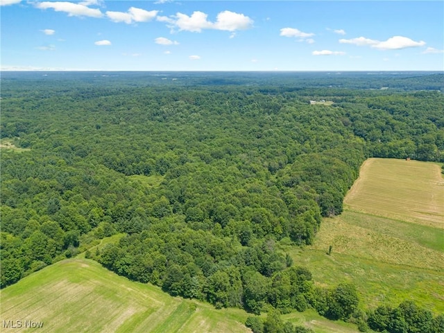 12456 Sheldon Rd, Mantua, OH 44255 - aerial view of a heavily wooded area