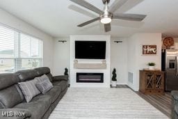 105 Vesper Cir, Lodi, OH 44254 - living room with a ceiling fan, a glass covered fireplace, and wood finished floors