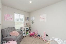 105 Vesper Cir, Lodi, OH 44254 - view of playroom