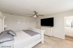 105 Vesper Cir, Lodi, OH 44254 - bedroom featuring a ceiling fan and connected bathroom