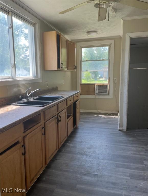 501 W 21st St, Lorain, OH 44052 - kitchen featuring a ceiling fan, wood finished floors, crown molding, light countertops, and cooling unit