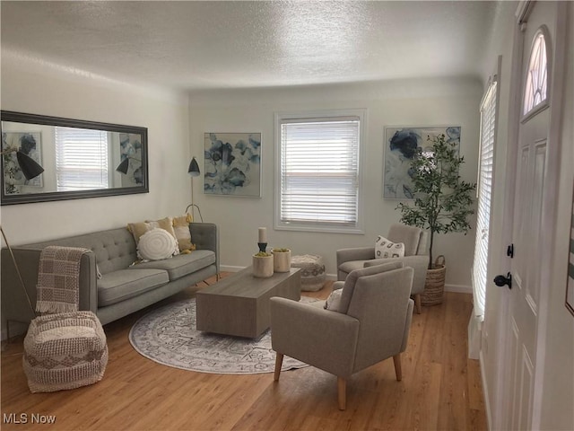 6704 Northcliff Ave, Brooklyn, OH 44144 - living room with plenty of natural light, light wood-style floors, and a textured ceiling