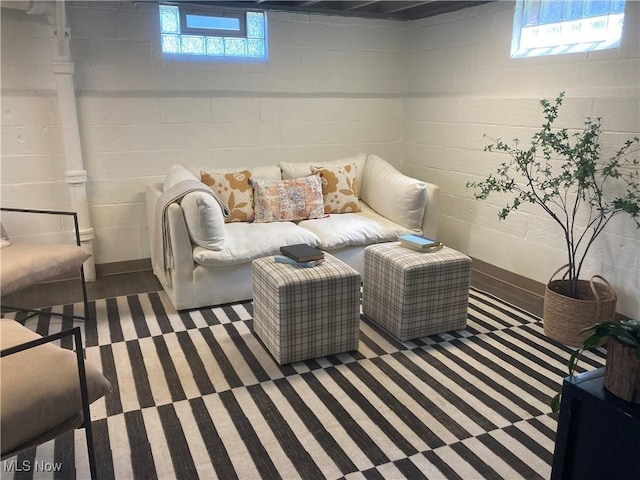 6704 Northcliff Ave, Brooklyn, OH 44144 - living area with concrete block wall