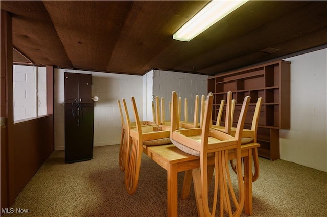 731 Hemlock St NW, Massillon, OH 44647 - interior space with carpet flooring and concrete block wall