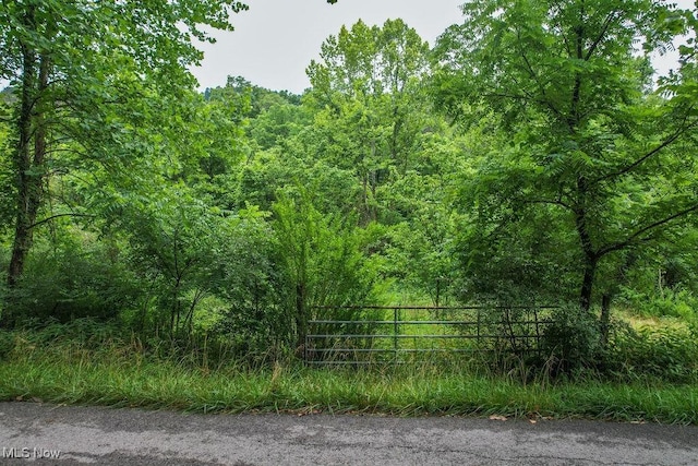 11329 Gillespie Run Rd, Petroleum, WV 26161