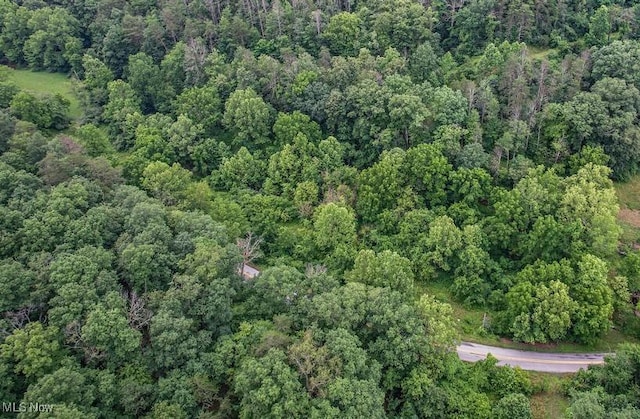 11329 Gillespie Run Rd, Petroleum, WV 26161