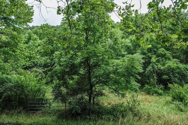 11329 Gillespie Run Rd, Petroleum, WV 26161