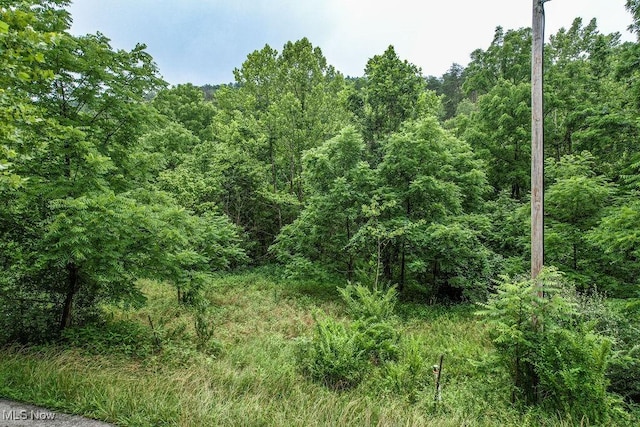 11329 Gillespie Run Rd, Petroleum, WV 26161