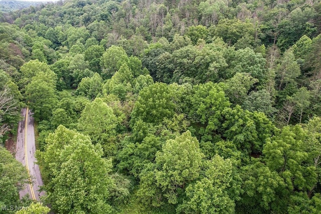 11329 Gillespie Run Rd, Petroleum, WV 26161