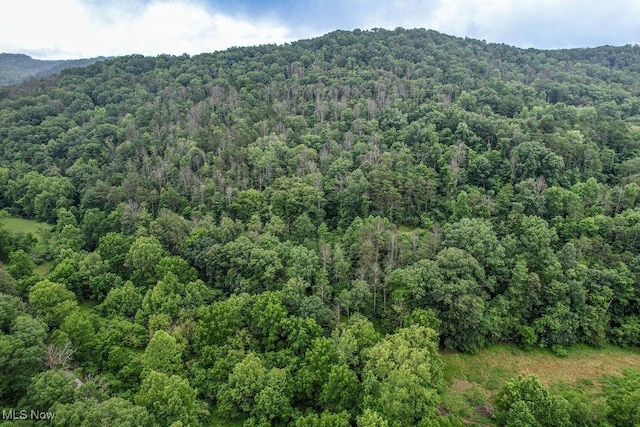 11329 Gillespie Run Rd, Petroleum, WV 26161