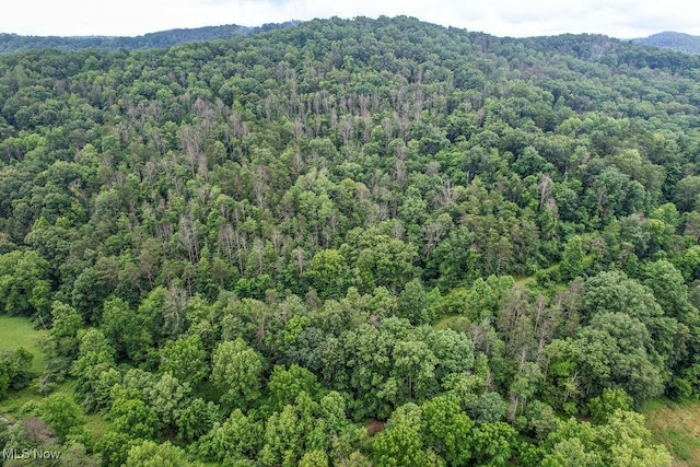 11329 Gillespie Run Rd, Petroleum, WV 26161