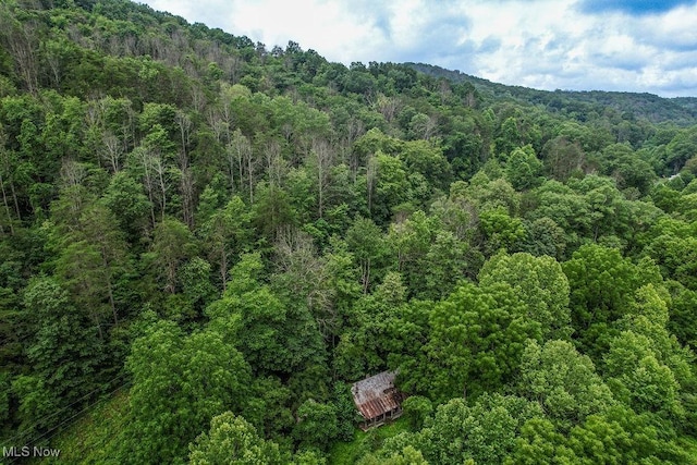 11329 Gillespie Run Rd, Petroleum, WV 26161