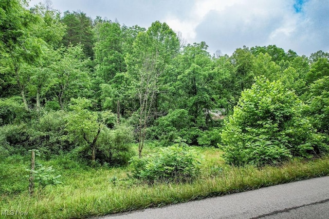 11329 Gillespie Run Rd, Petroleum, WV 26161
