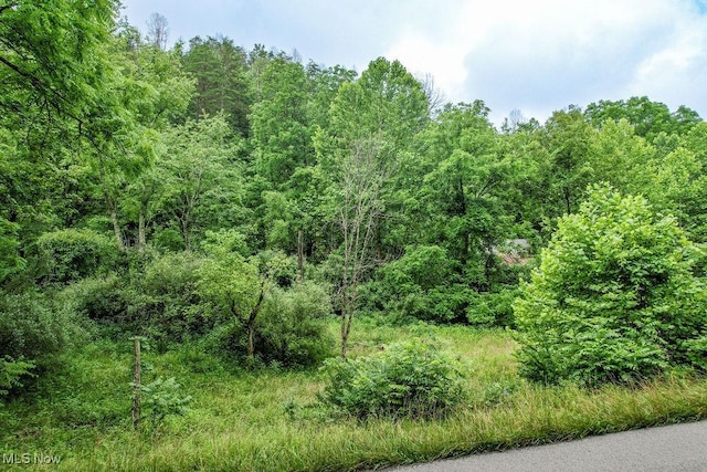 11329 Gillespie Run Rd, Petroleum, WV 26161