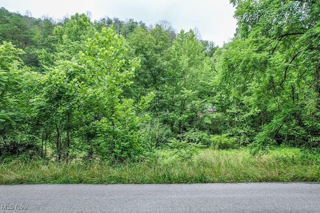11329 Gillespie Run Rd, Petroleum, WV 26161