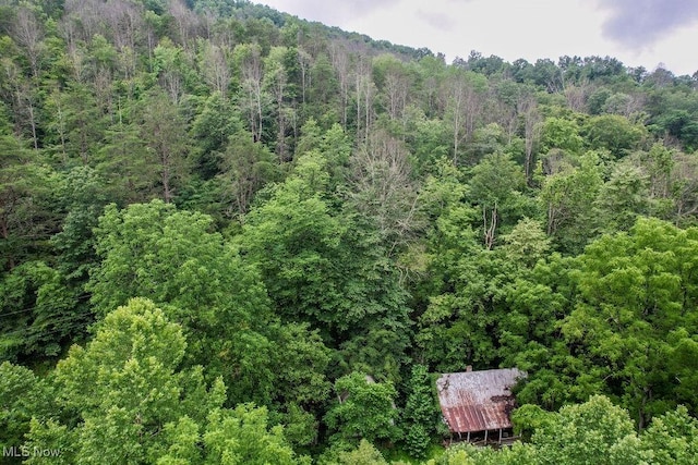 11329 Gillespie Run Rd, Petroleum, WV 26161
