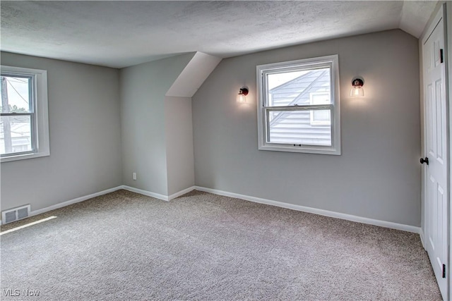16005 Mendota Ave, Maple Heights, OH 44137 - bonus room with carpet floors, plenty of natural light, vaulted ceiling, and a textured ceiling