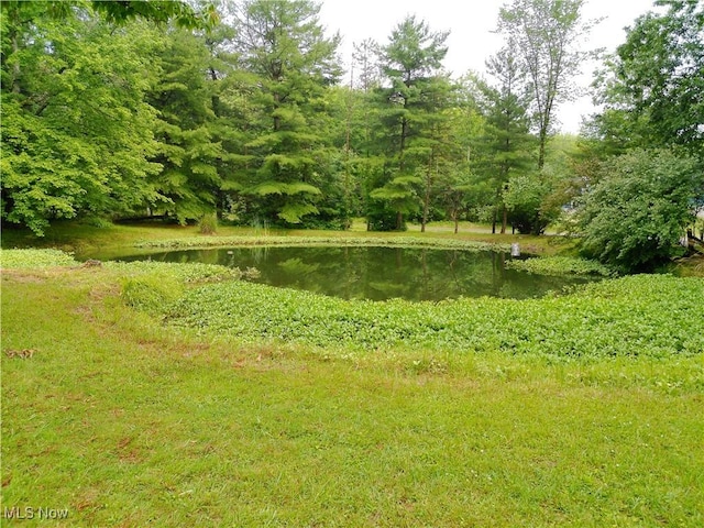 4637 Kingsbury, Medina, OH 44256 - photo 10