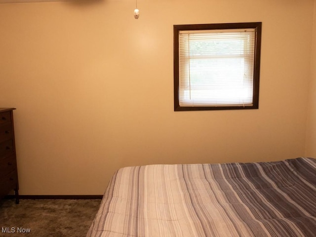 2646 Dawley Rd, Ravenna, OH 44266 - photo 22