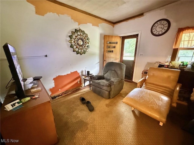 47797 Cadiz Harrisville Rd, Cadiz, OH 43907 - photo 10
