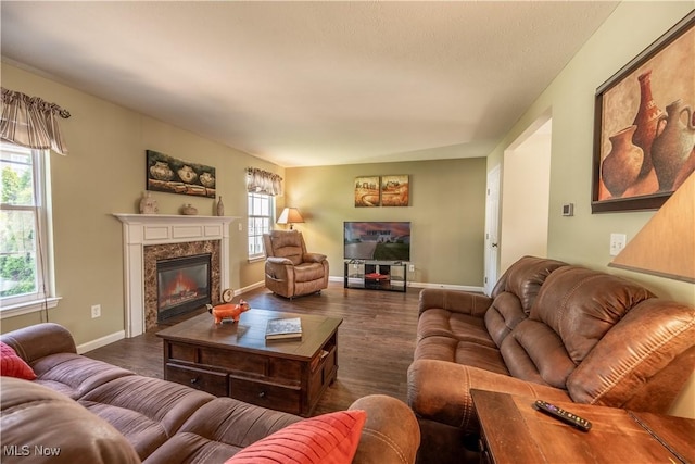 785 Cambridge Ct, Kent, OH 44240 - living area featuring wood finished floors and a premium fireplace