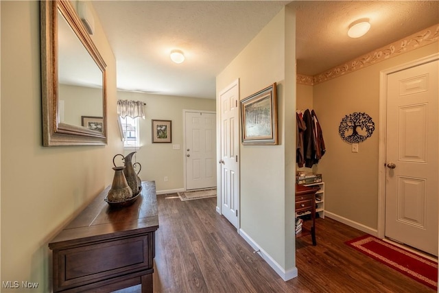 785 Cambridge Ct, Kent, OH 44240 - entrance foyer featuring dark wood finished floors