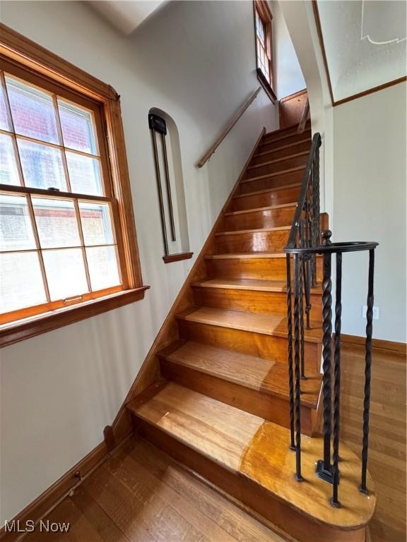 4704 Morningside Dr, Cleveland, OH 44109 - photo 10