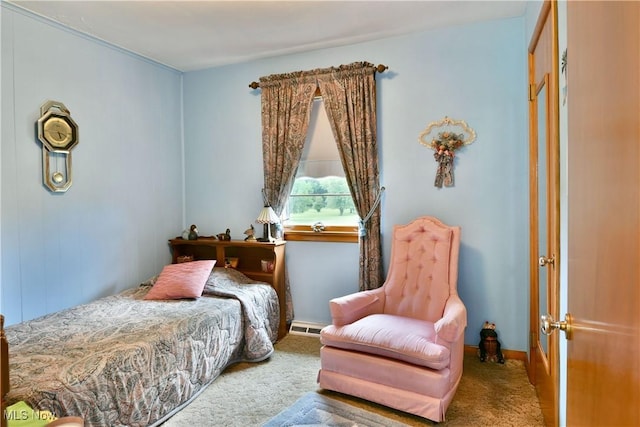 3787 Helsey Fusselman Rd, Southington, OH 44470 - carpeted bedroom featuring a baseboard radiator and baseboards