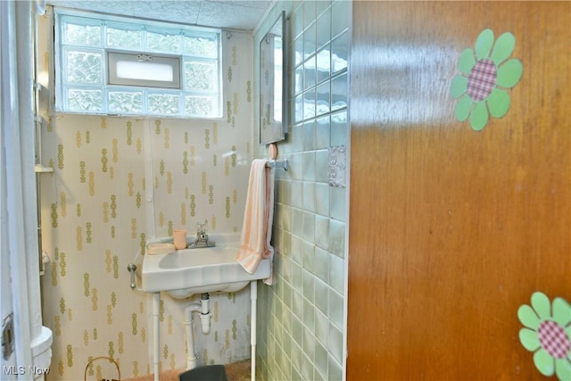 3787 Helsey Fusselman Rd, Southington, OH 44470 - bathroom featuring toilet and a sink