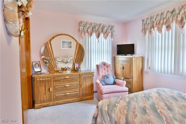 3787 Helsey Fusselman Rd, Southington, OH 44470 - view of carpeted bedroom