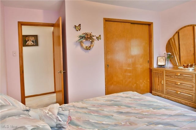 3787 Helsey Fusselman Rd, Southington, OH 44470 - carpeted bedroom with a closet