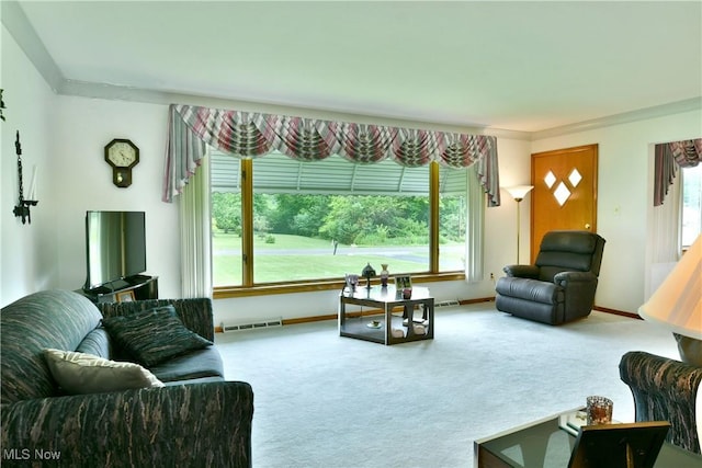 3787 Helsey Fusselman Rd, Southington, OH 44470 - carpeted living room featuring plenty of natural light