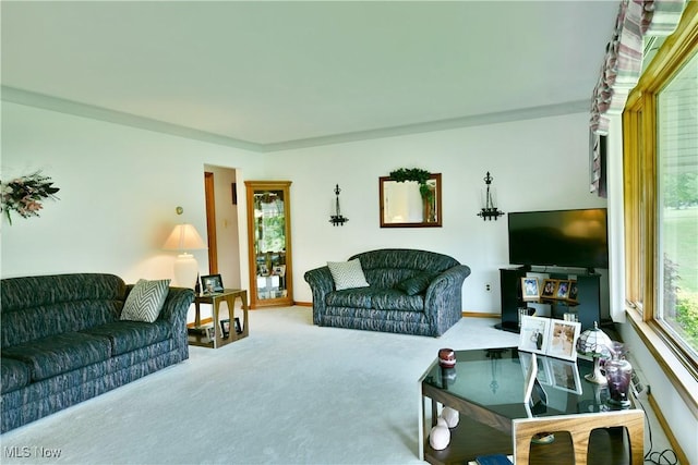 3787 Helsey Fusselman Rd, Southington, OH 44470 - living room with carpet floors and baseboards