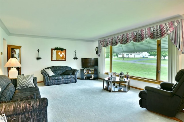 3787 Helsey Fusselman Rd, Southington, OH 44470 - living room featuring carpet flooring and baseboards
