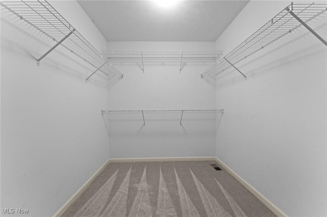 184 Creekledge Ln, Copley, OH 44321 - spacious closet with carpet floors