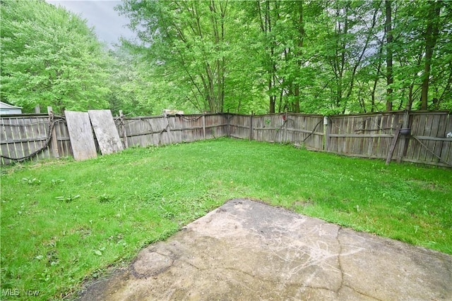 1865 Park Dr, Niles, OH 44446 - photo 35