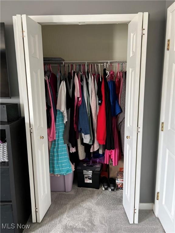 116 Ledgestone Ct, Berea, OH 44017 - view of closet