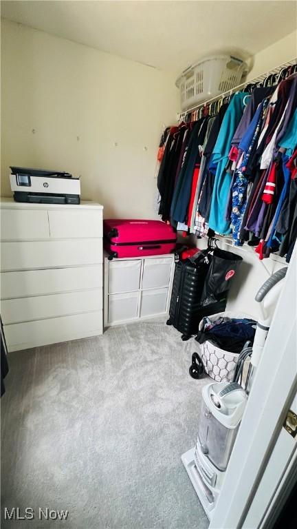 116 Ledgestone Ct, Berea, OH 44017 - spacious closet featuring carpet flooring