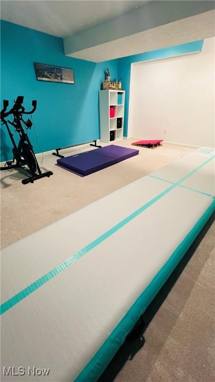 116 Ledgestone Ct, Berea, OH 44017 - exercise area with carpet