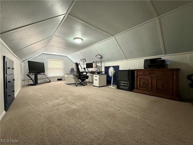 4575 Fishcreek Rd, Stow, OH 44224 - office space featuring vaulted ceiling and carpet floors