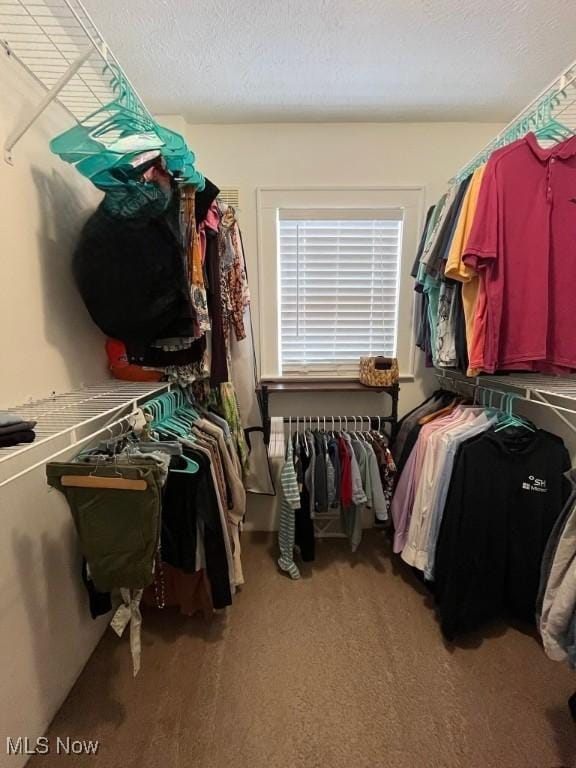 4575 Fishcreek Rd, Stow, OH 44224 - walk in closet featuring carpet flooring