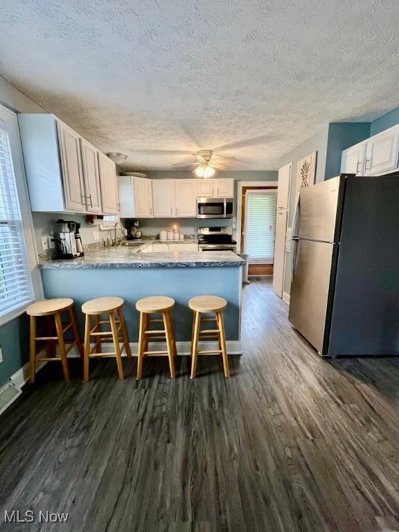 4575 Fishcreek Rd, Stow, OH 44224 - kitchen featuring appliances with stainless steel finishes, dark wood-style floors, a peninsula, a textured ceiling, and healthy amount of natural light