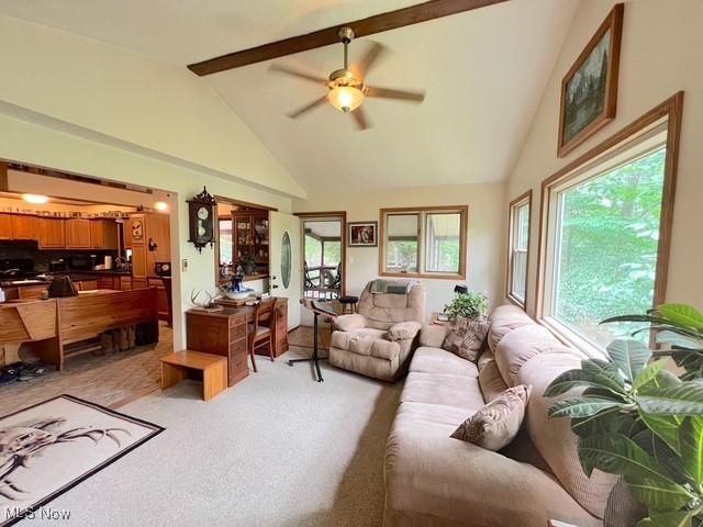 10993 Kleski Rd SE, Uhrichsville, OH 44683 - photo 4