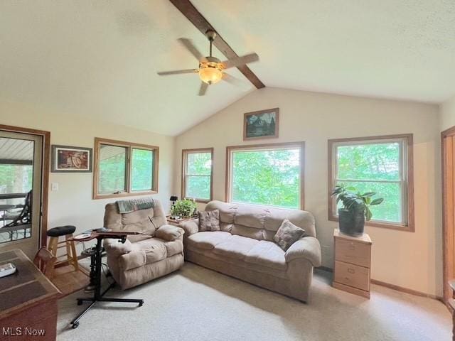 10993 Kleski Rd SE, Uhrichsville, OH 44683 - photo 5